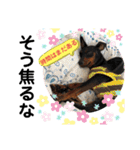 みにぴんライフ②（個別スタンプ：19）