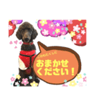 みにぴんライフ②（個別スタンプ：22）