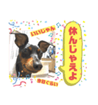 みにぴんライフ②（個別スタンプ：28）