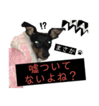 みにぴんライフ②（個別スタンプ：31）