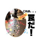 みにぴんライフ②（個別スタンプ：38）