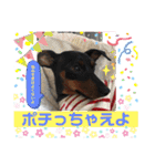 みにぴんライフ②（個別スタンプ：39）