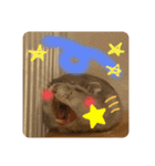 ハムスターのぽぽぽちゃん（個別スタンプ：7）