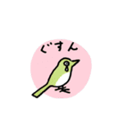くらしのあざらし（個別スタンプ：33）