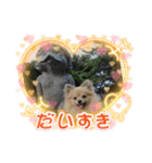 ポンちゃんー（個別スタンプ：8）