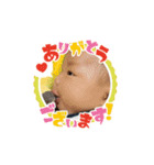 あおくんの日常⭐︎（個別スタンプ：20）