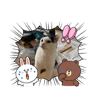 8にゃんずの日常（個別スタンプ：10）
