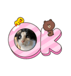 8にゃんずの日常（個別スタンプ：14）