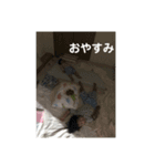かずみな9（個別スタンプ：8）