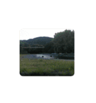 緑 河川 飯能河原 自然 山 清流 写真（個別スタンプ：8）