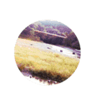 緑 河川 飯能河原 自然 山 清流 写真（個別スタンプ：32）