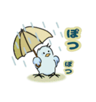 マメルリハインコの青豆ちゃん【お天気】（個別スタンプ：6）