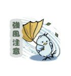 マメルリハインコの青豆ちゃん【お天気】（個別スタンプ：8）
