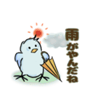マメルリハインコの青豆ちゃん【お天気】（個別スタンプ：10）