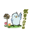 マメルリハインコの青豆ちゃん【お天気】（個別スタンプ：11）