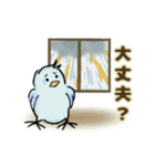 マメルリハインコの青豆ちゃん【お天気】（個別スタンプ：14）