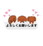 トイプードルレッド系の吹き出しのスタンプ（個別スタンプ：2）