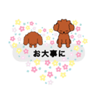 トイプードルレッド系の吹き出しのスタンプ（個別スタンプ：17）