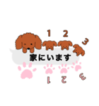 トイプードルレッド系の吹き出しのスタンプ（個別スタンプ：22）