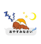 トイプードルレッド系の吹き出しのスタンプ（個別スタンプ：27）