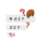 トイプードルレッド系の吹き出しのスタンプ（個別スタンプ：31）