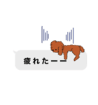 トイプードルレッド系の吹き出しのスタンプ（個別スタンプ：35）