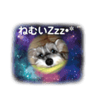 キャンディLove（個別スタンプ：2）