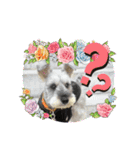 キャンディLove（個別スタンプ：3）
