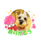 キャンディLove（個別スタンプ：4）
