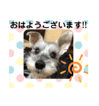 キャンディLove（個別スタンプ：6）