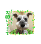 キャンディLove（個別スタンプ：8）