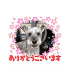 キャンディLove（個別スタンプ：18）