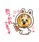 キャンディLove（個別スタンプ：22）
