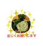 モコフラワー（個別スタンプ：6）