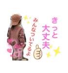 桜子ポジティブスタンプ②（個別スタンプ：25）