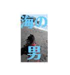 心がワチワチ！愛犬スタンプ（個別スタンプ：13）