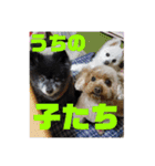 心がワチワチ！愛犬スタンプ（個別スタンプ：14）