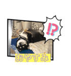ちびまるトークスタンプ（個別スタンプ：2）