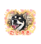 ちびまるトークスタンプ（個別スタンプ：3）