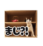 寺猫ぱるにゃん2（個別スタンプ：15）