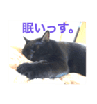 ゴーゴー外にゃんず（個別スタンプ：4）
