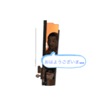 しばとらスタンプ（個別スタンプ：5）