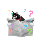 柴犬まりもの日常（個別スタンプ：2）