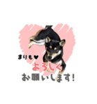 柴犬まりもの日常（個別スタンプ：6）