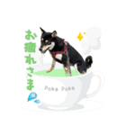 柴犬まりもの日常（個別スタンプ：7）