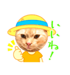 マンチカンこう（個別スタンプ：2）