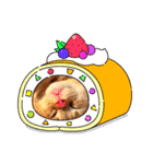 マンチカンこう（個別スタンプ：4）
