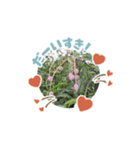 Masa のstamp（個別スタンプ：3）