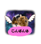 かっかとちゃみとはむちーの日常会話（個別スタンプ：4）