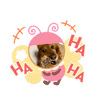 かっかとちゃみとはむちーの日常会話（個別スタンプ：11）